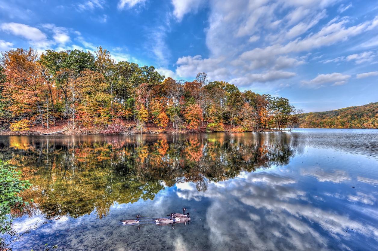 Vibrant fall trees and a bright blue sky with puffy white clouds reflected on the water at Loch Raven Reservoir